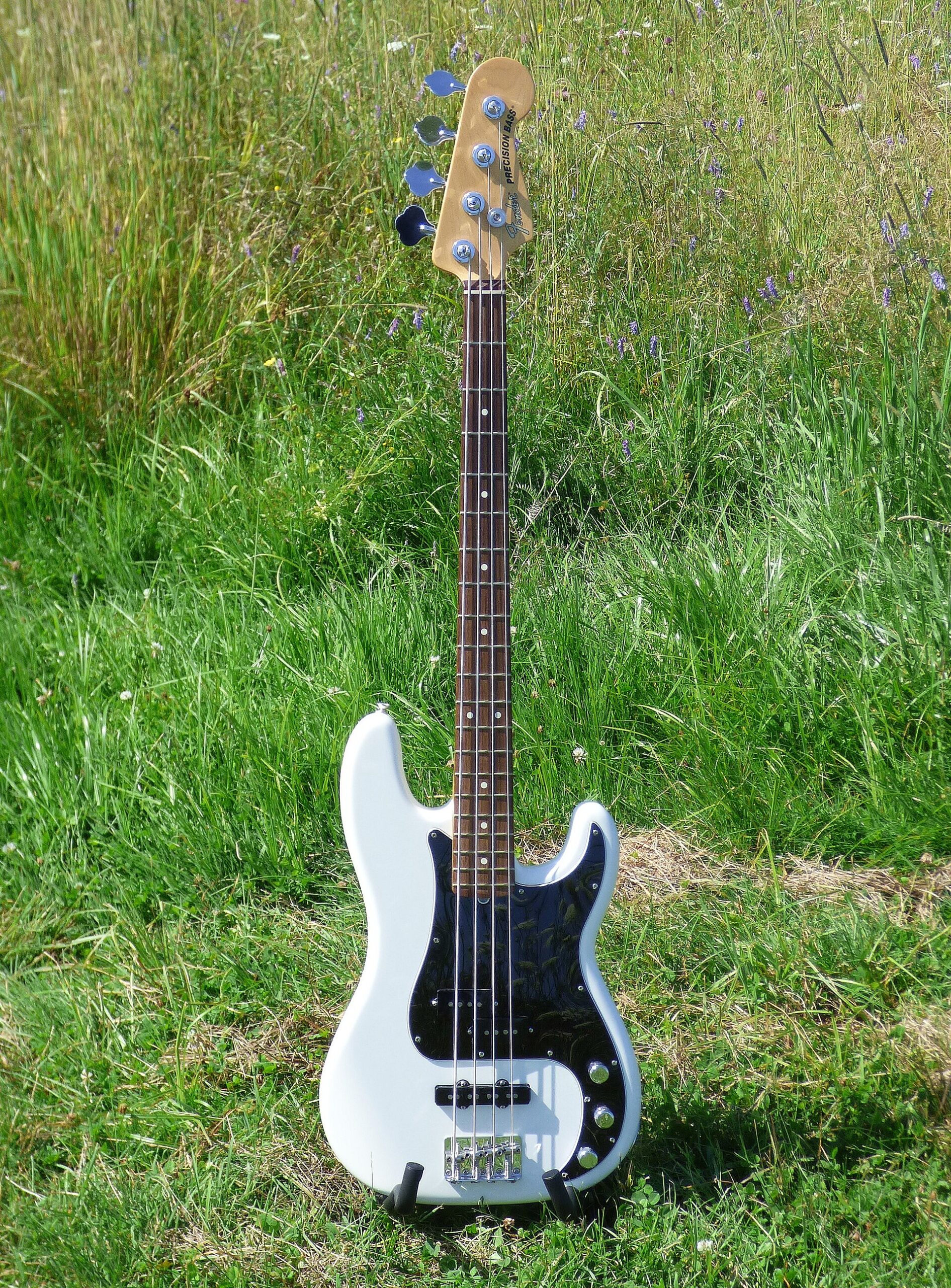 Fender Precision Bass standing in the grass: bass guitar for beginners in Australia
